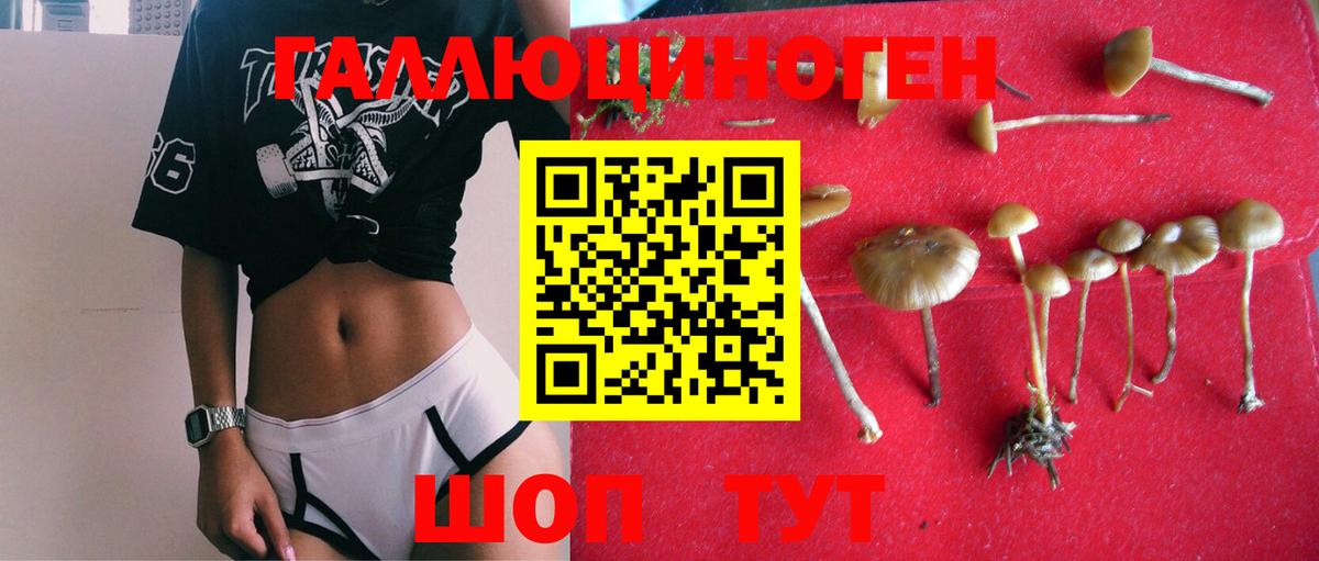 Азов  Псилоцибиновые грибы MAGIC MUSHROOMS  Вход с VPN 